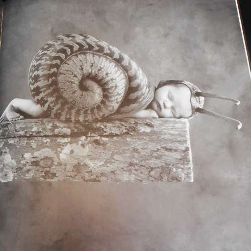 Down in the Garden Anne Geddes