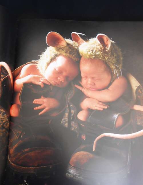 Down in the Garden Anne Geddes