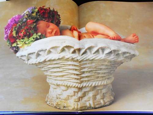Down in the Garden Anne Geddes