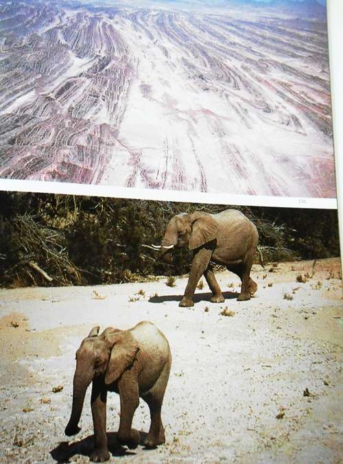 Namibia- A Thirstland Wilderness - Lambrechts