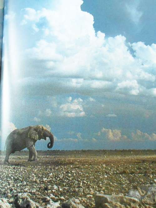 Namibia- A Thirstland Wilderness - Lambrechts