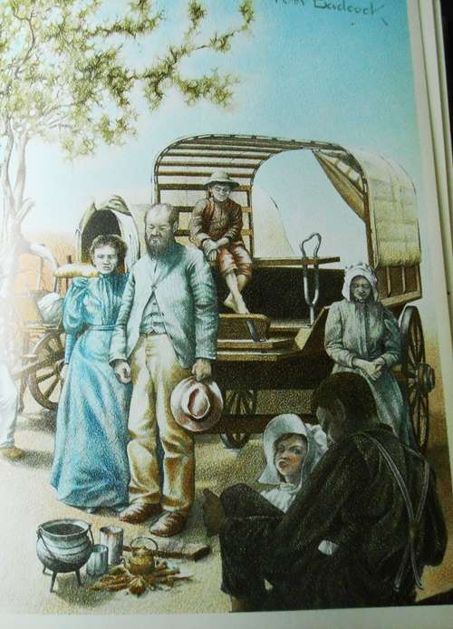 The Illustrated Bosman - Herman Charles Bosman (1985 1st Edition HARDCOVER)