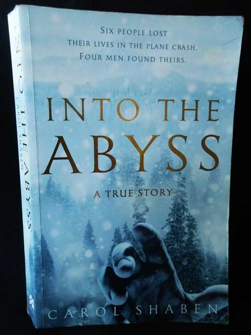 Into the Abyss A true Story by Carol Shaben