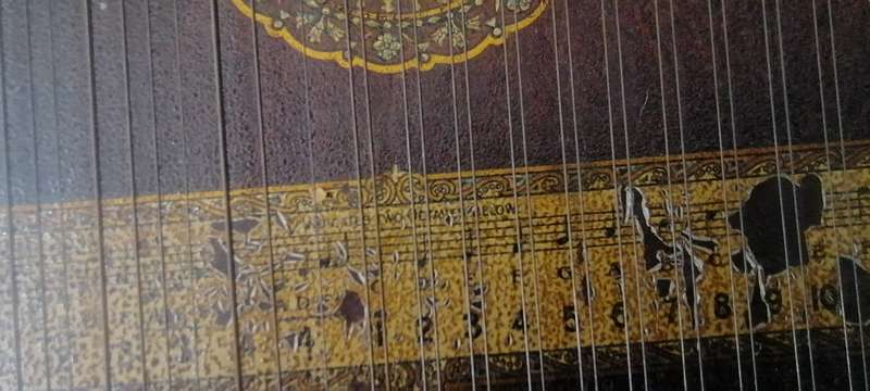 Vintage 1894 American MANDOLIN ,