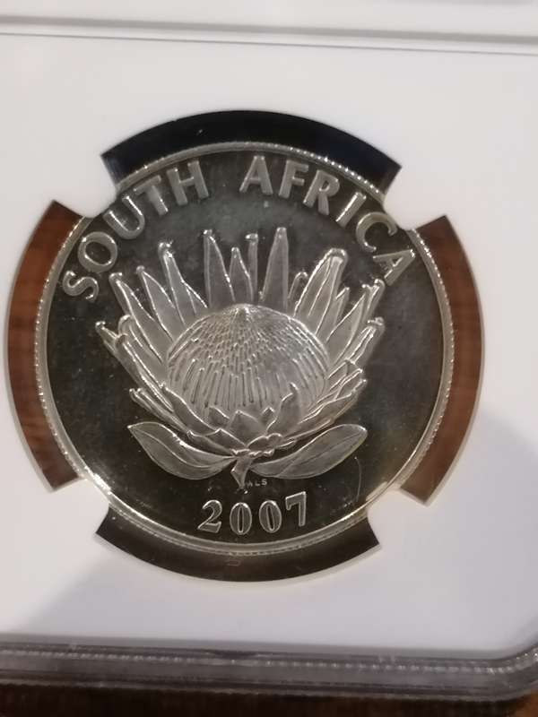 2007 SILVER R1 MS 65