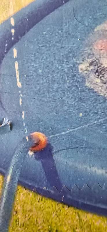SPLASH PLAY MAT