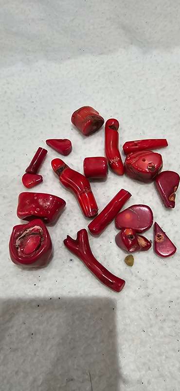 GENUINE RED CORAL STONES