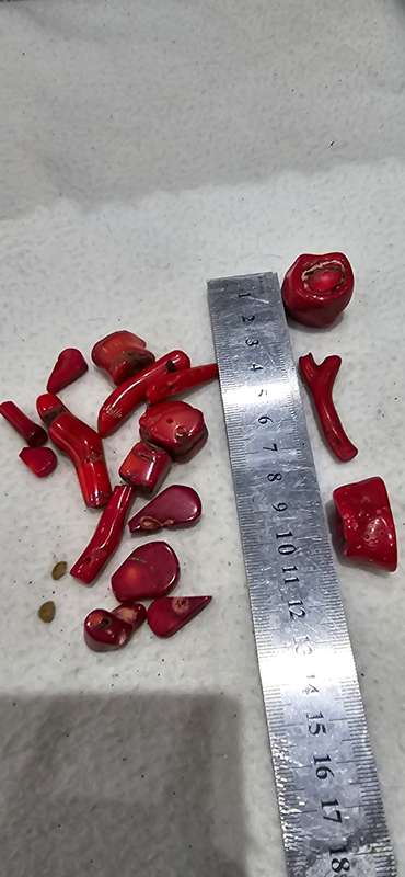 GENUINE RED CORAL STONES