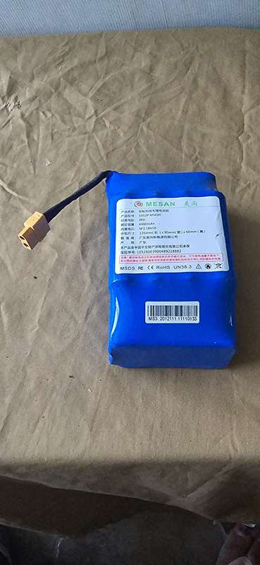 36V ELECTRONIC BATTERY