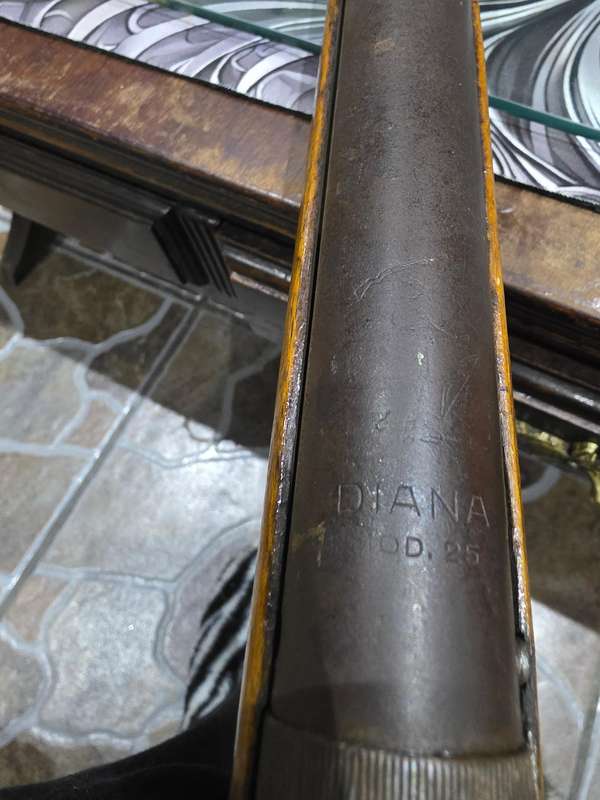Vintage Diana Rifle