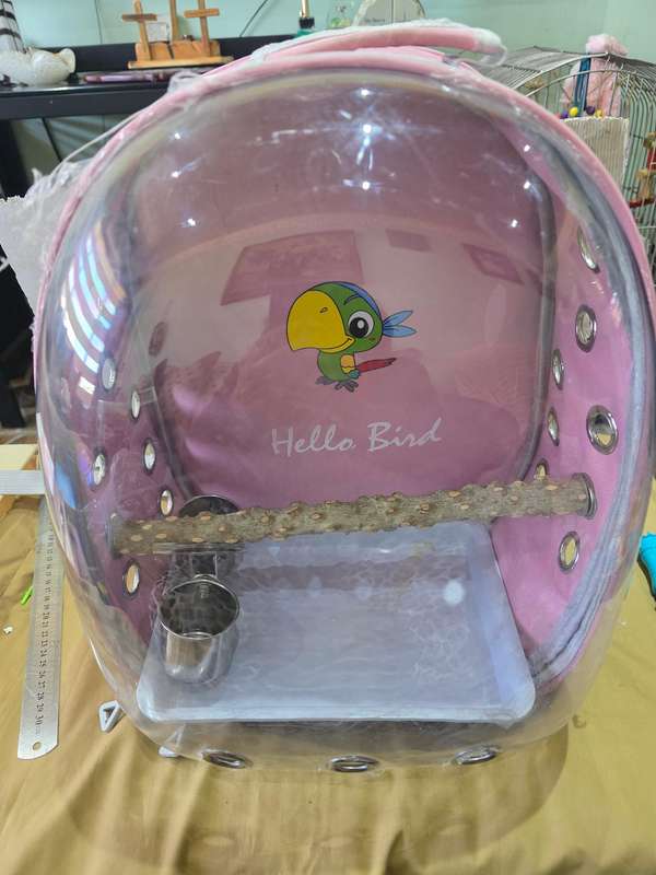 PET BIRD CARRIER WITH PERCH AND FEEDERS