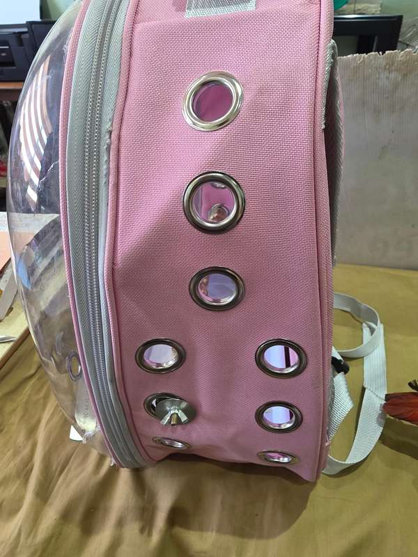 PET BIRD CARRIER WITH PERCH AND FEEDERS