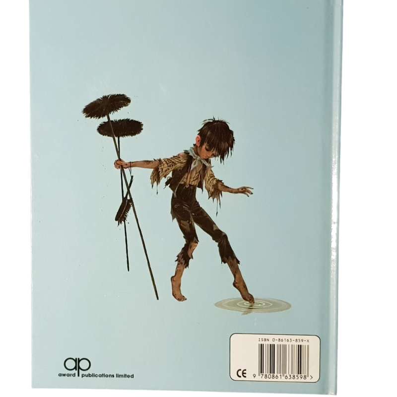 Hardcover Book The Water Babies by Charles Kingsley
