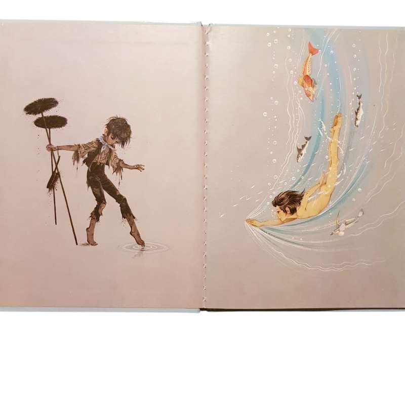 Hardcover Book The Water Babies by Charles Kingsley