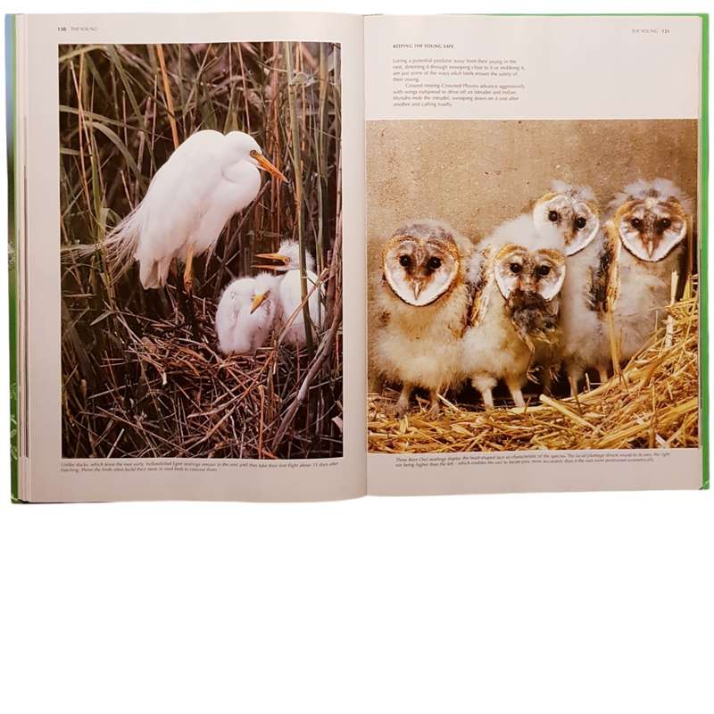 Hardcover Book - Spectacular World of Southern African Birds