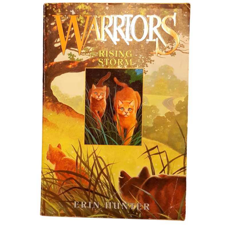 Warrior Cats: Volumes 1 to 4  The Prophecies Begin by Erin Hunter (Softcover Set)