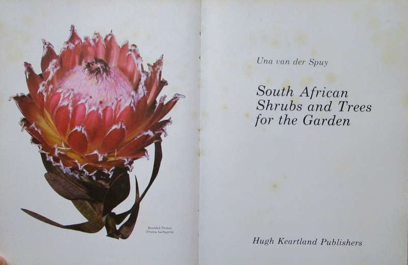 South African Shrubs & Trees for the Garden
