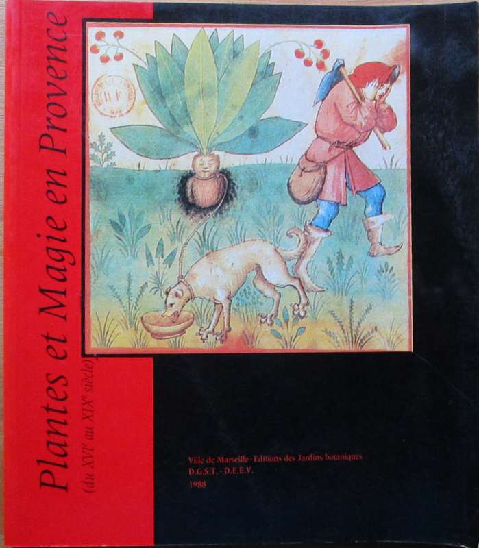 Plantes et Magie En Provence (du XVI Au XIX siecle)
