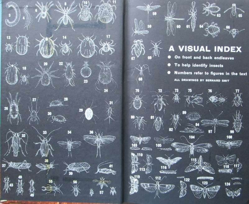 Insects in Southern Africa: How to Control Them, A Handbook