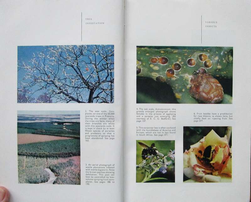Insects in Southern Africa: How to Control Them, A Handbook