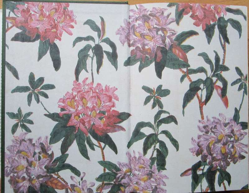 Tales of the Rose Tree