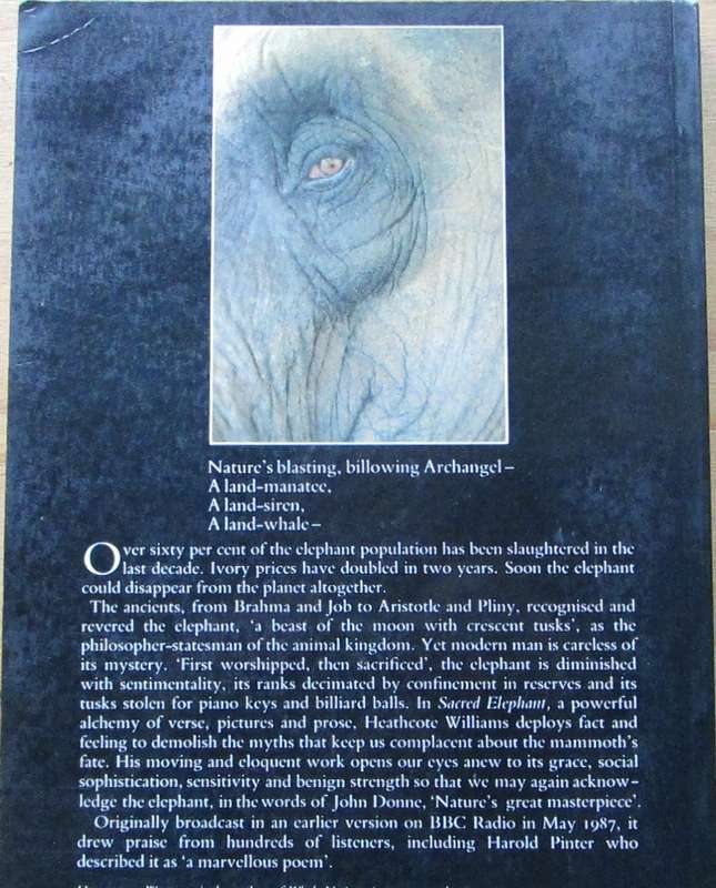 Sacred Elephant