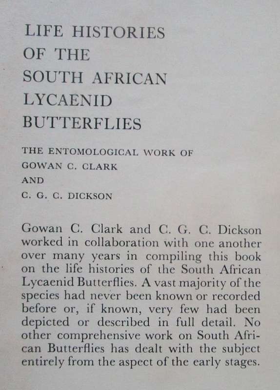 Life Histories of the South African Lycaenid Butterflies