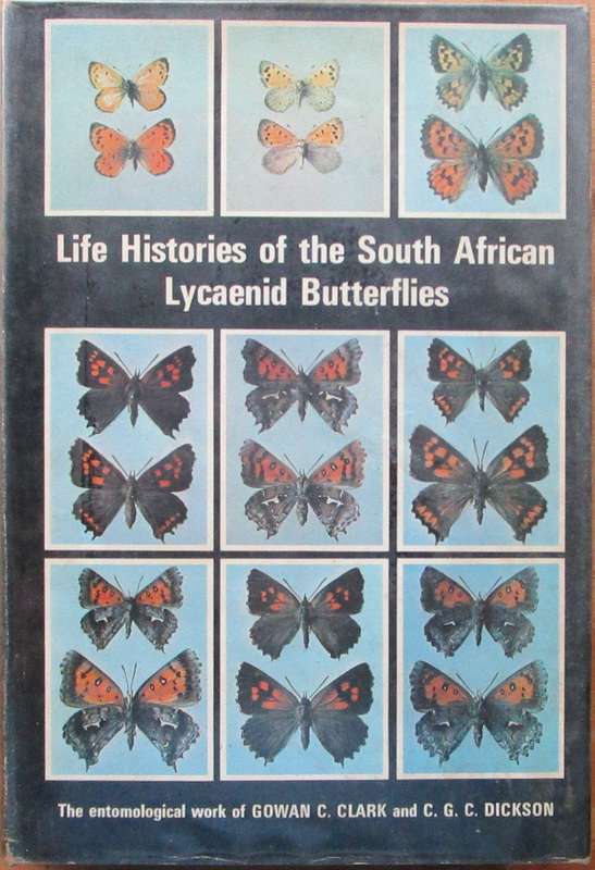 Life Histories of the South African Lycaenid Butterflies