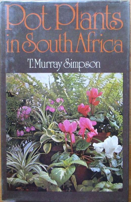 Pot Plants in South Africa