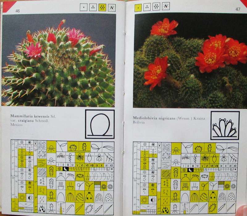 Flowering Cacti a Colour Guide