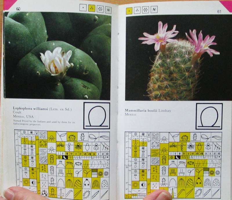 Flowering Cacti a Colour Guide
