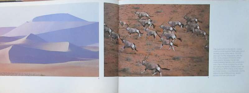 The Sappi Collection African Wildlife Photographs
