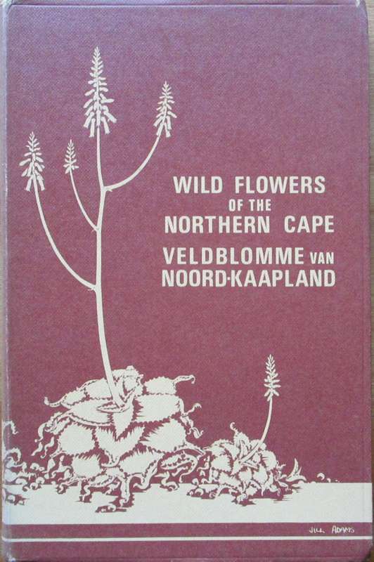 Wild Flowers of the Northern Cape