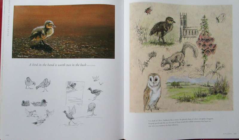 A Voyage Around the World in Paintings the Art of Julie Askew