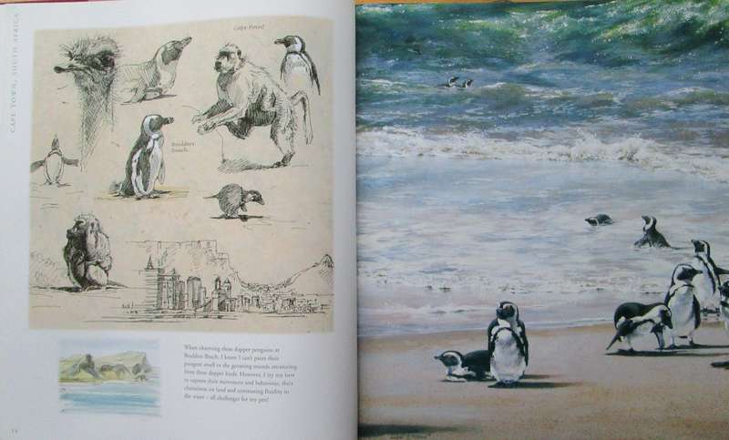 A Voyage Around the World in Paintings the Art of Julie Askew