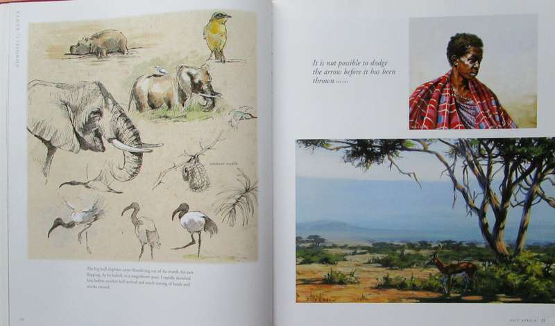 A Voyage Around the World in Paintings the Art of Julie Askew