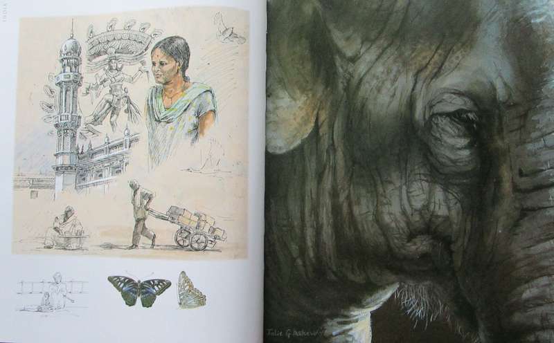 A Voyage Around the World in Paintings the Art of Julie Askew