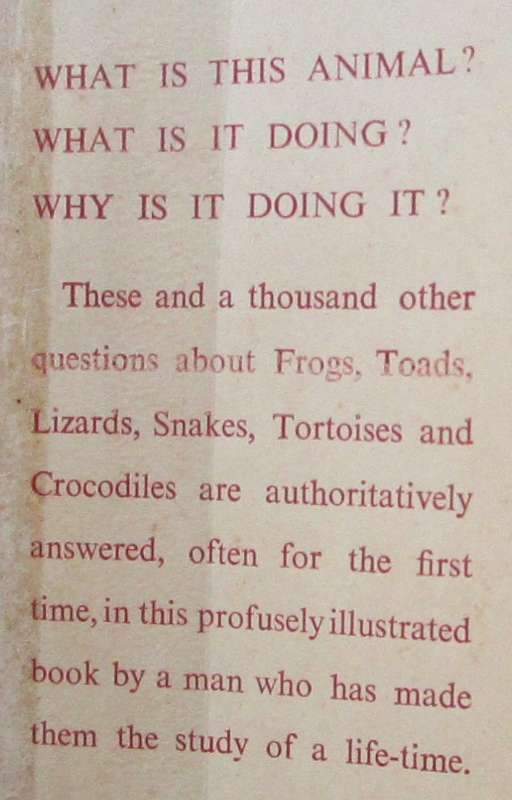 The Reptiles and Amphibians of Southern Africa