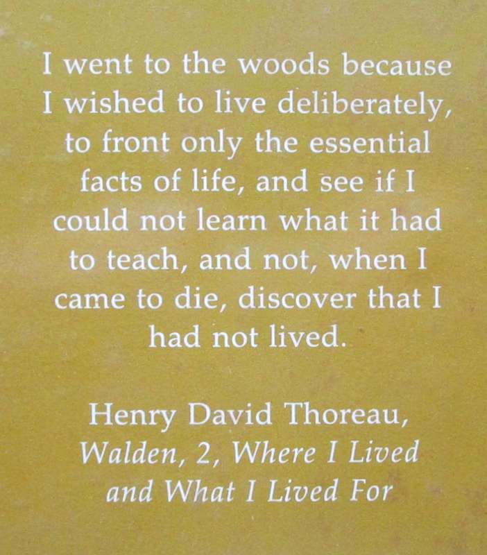 Voices of the Wilderness