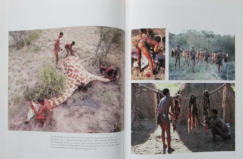 Bushmen a Changing Way of Life