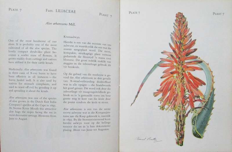 The Flowering Plants of Tsitsikama Forest and Coastal National Park