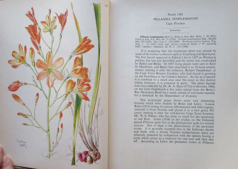 The Flowering Plants of Africa: Nos. 139 and 140, Vol 35, Parts 3 and 4 for December 1962