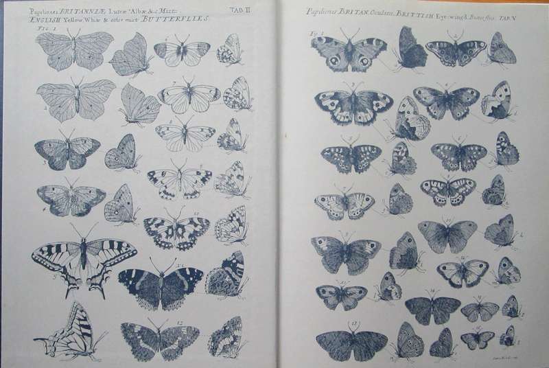 The Aurelian Legacy British Butterflies and Their Collectors