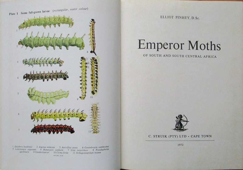 Emperor Moths of South and South Central Africa
