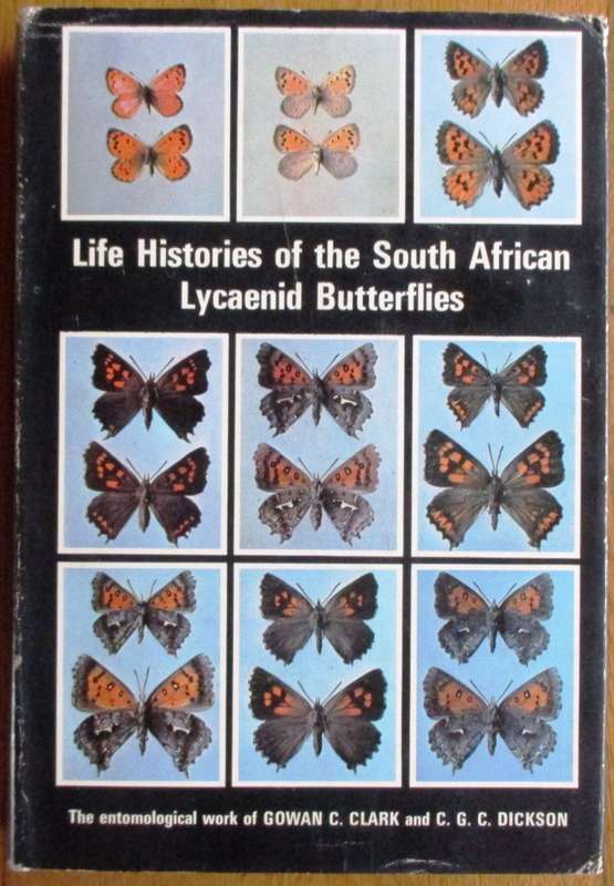 Life Histories of the South African Lycaenid Butterflies