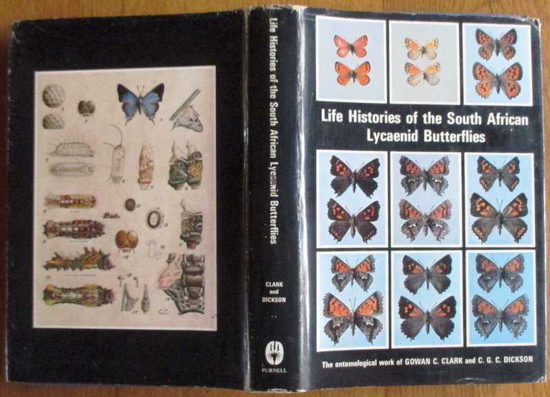 Life Histories of the South African Lycaenid Butterflies