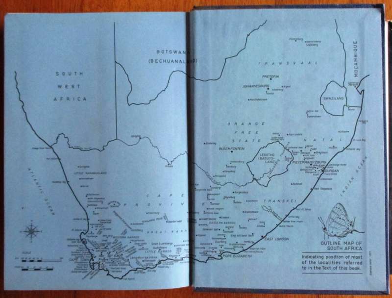 Life Histories of the South African Lycaenid Butterflies