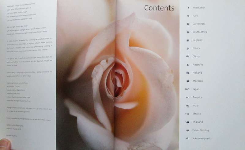 World Flowers