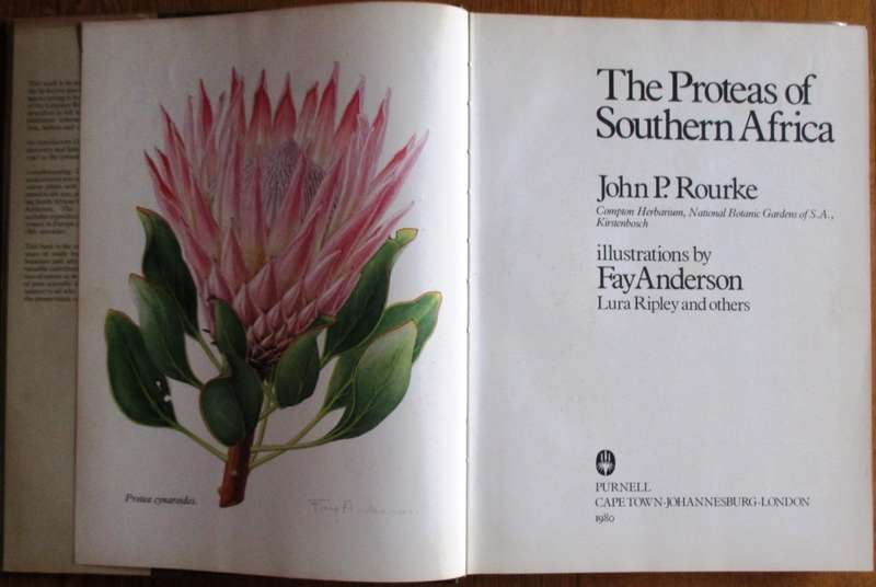 The Proteas of Southern Africa