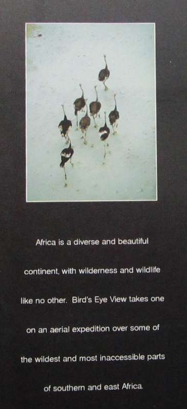 Bird's Eye View an Aerial Journey Over Wild Africa